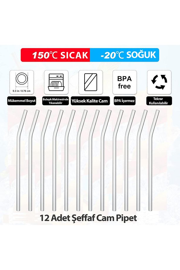 12'li Eğimli Cam Pipet ve 2 Adet Temizleme Fırçası - 2