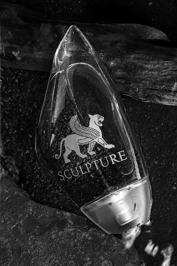 Sculpture Erkek Parfüm Edt 100 ml - 7