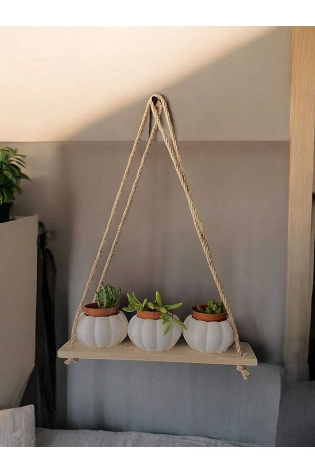 EM&MA 10'lu Kabak Sukulent Kaktüs Saksısı - Dekoratif Saksı - 4