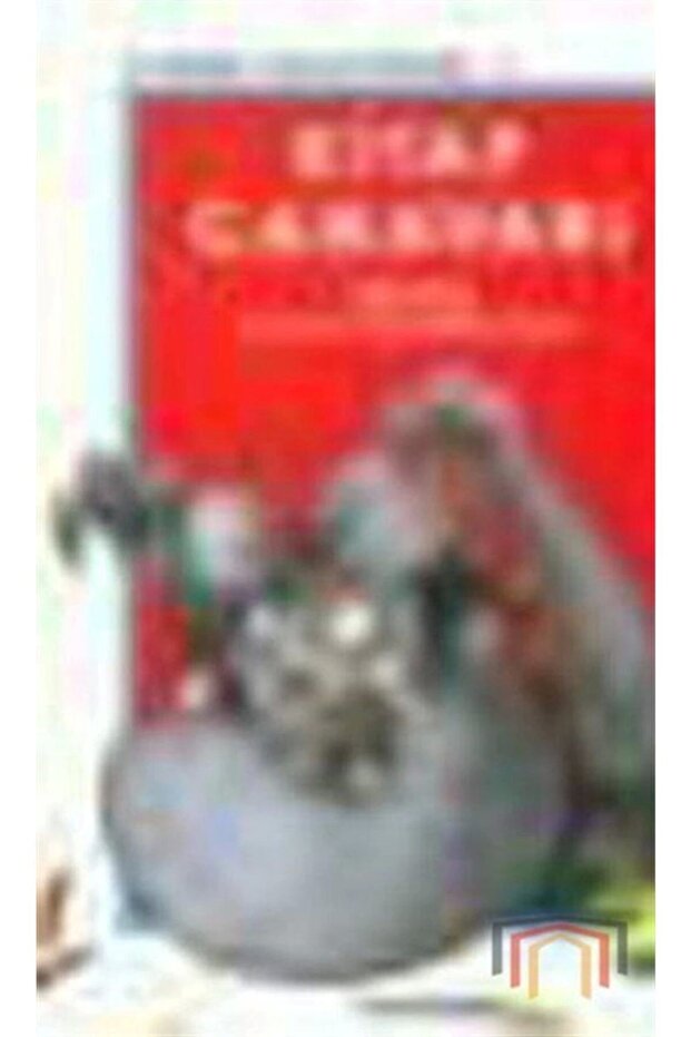 Kitap Canavarı