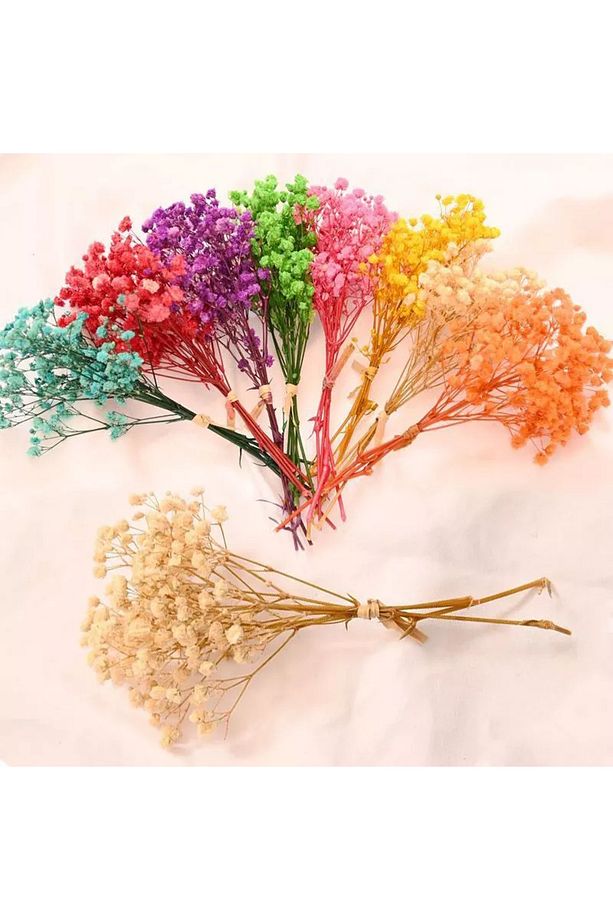Kurutulmuş Cipso Pıtırcık Çiçek Epoksi Süsü Paketleme Süsü Dekor Vazo Süsü 10 gr Mini Demet - 6