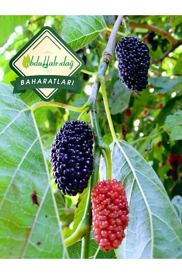 Hatay Yöresel Kara Dut Kan Dut Şurubu Karadut Özü 1/2 Kg / 500 Gr - 3