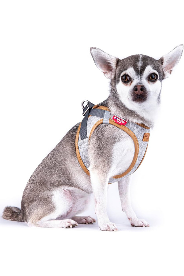 Alpine Clasp Vest Harness Light Gray - 2