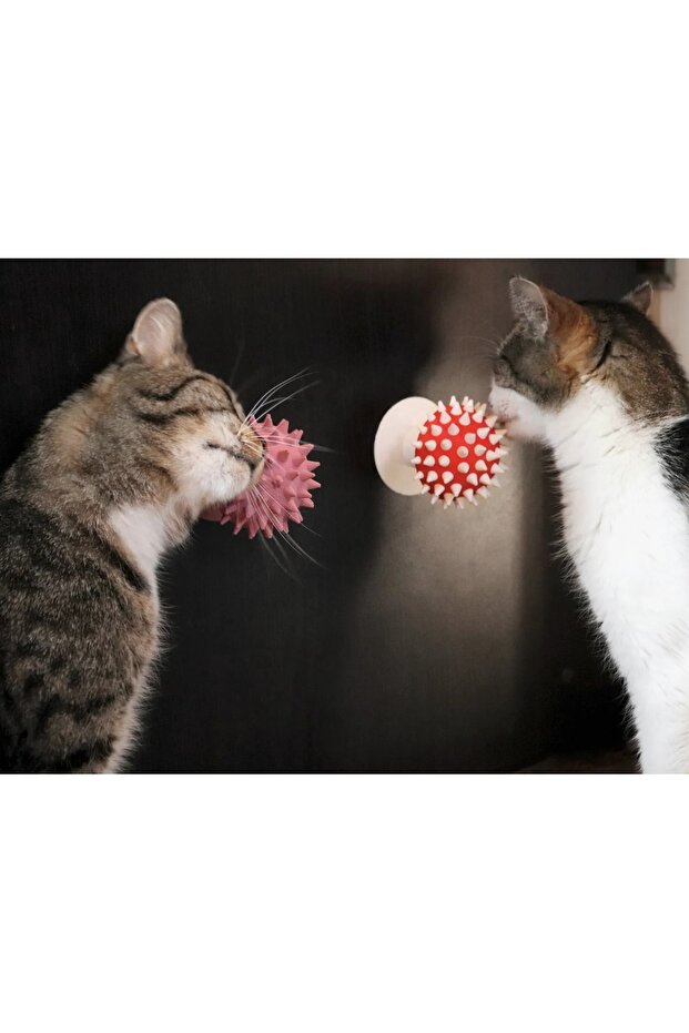 Mushroom Look Cat Scratching Toy – Nuthouse Mushroom |   Catnip Compatible, Can Be Pasted to the Wall - 4