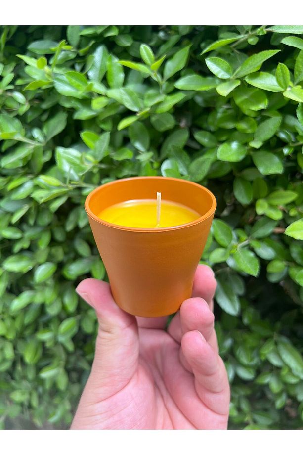 5 Adet Saksı Model Citronella Mum Limon Kokulu Sinek Kovan Mum Anti Sinek Aromaterapi Mum - 2
