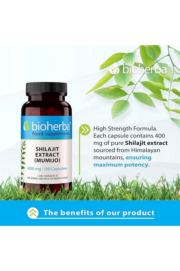 Shilajit Extract (Mumijo) 400 mg 100 Caps - 3
