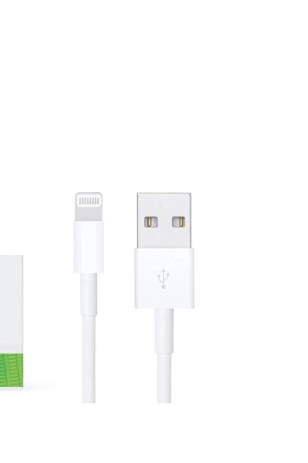 TENPLUS iPhone cable - 1
