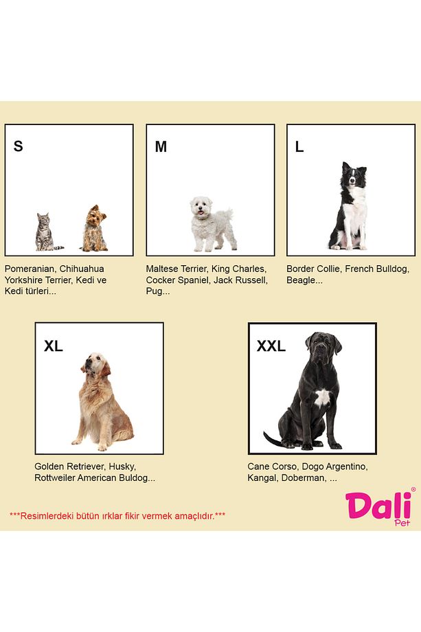 Yaz Ayları İçin Köpek Ayakkabısı Yumuşak Kaydırmaz, Aır Mesh Kumaş, Koşu Ayakkabısı - 3