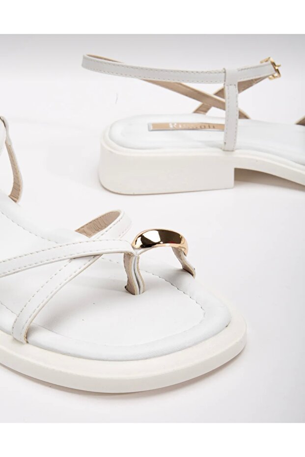 الصنادل الدائري - 3