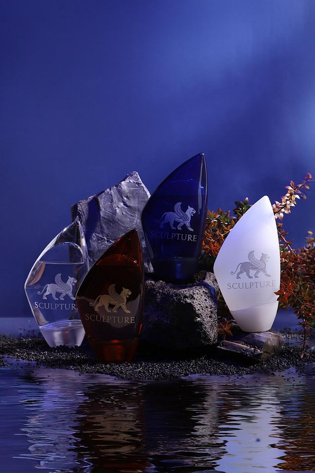 Sculpture Erkek Parfüm Edt 100 ml - 8