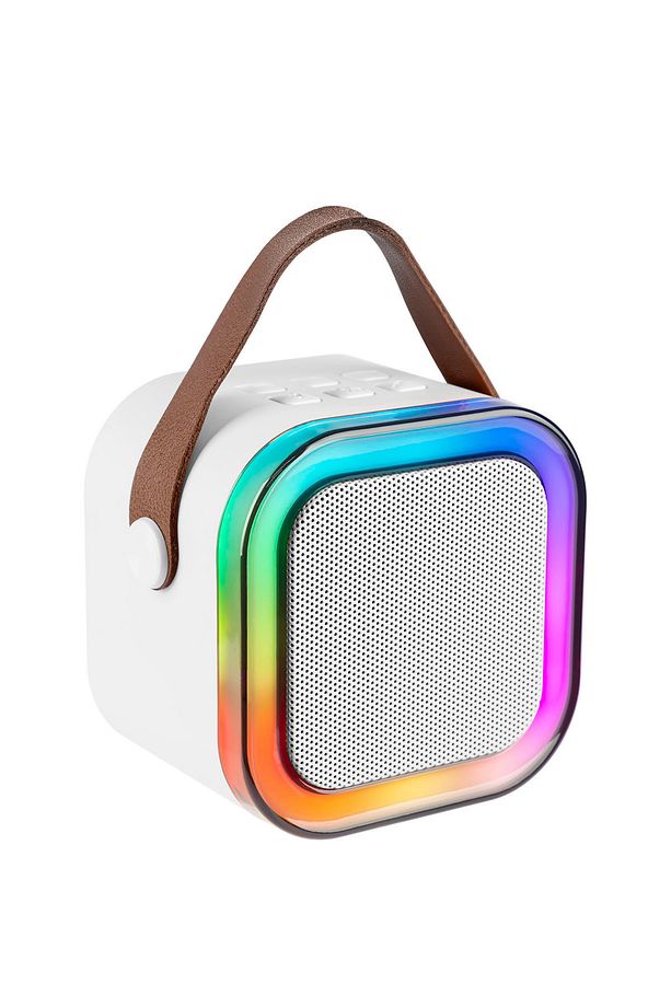 Karaoke Mikrofonlu Bluetooth Hoparlör - 2