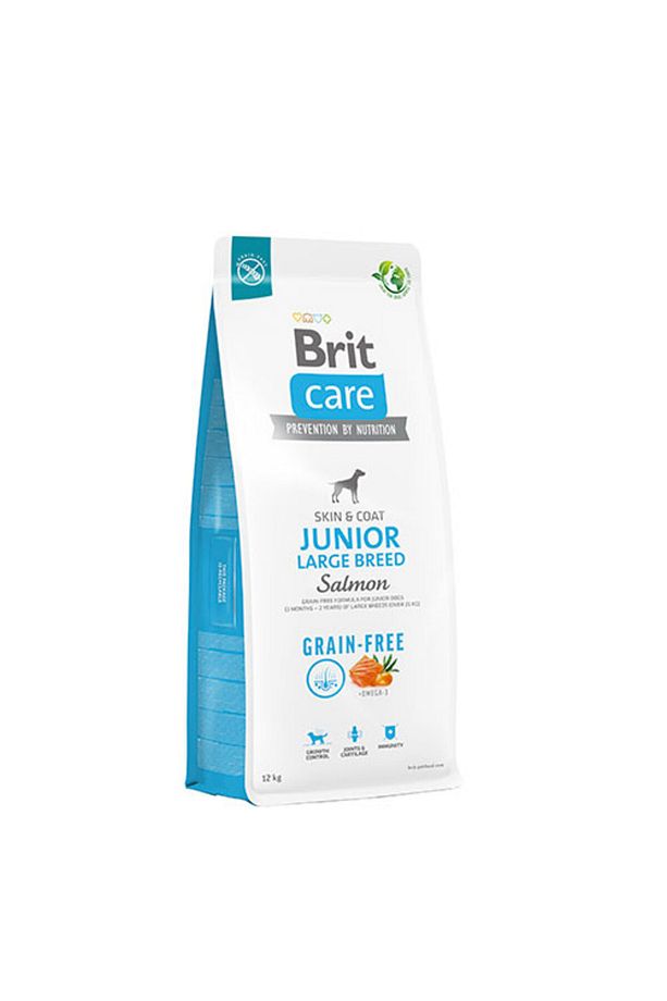 Skin Coat Somonlu Büyük Irk Tahılsız Yavru Köpek Maması 12 Kg - 1