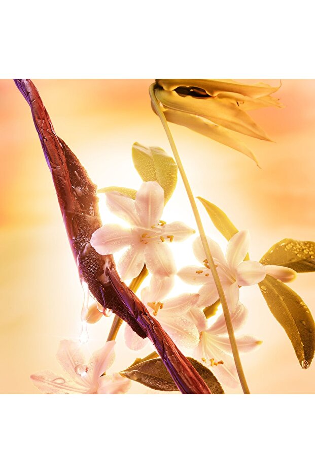 Joyphoria - Eau de Parfum - 5