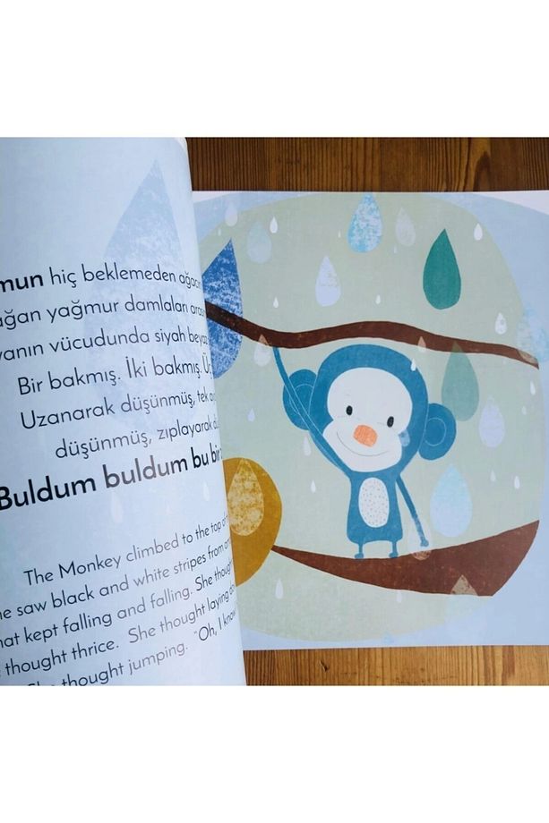 Multibem Ormanda Bir Misafir - 4