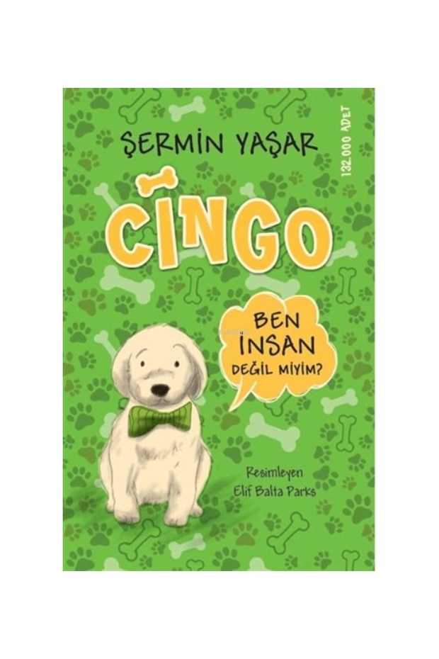 Cingo