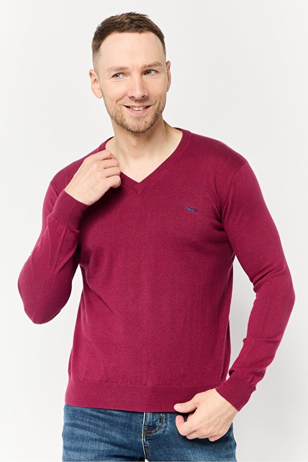 Men V-Neck Long Sleeve Embroidered Logo Sweater,Maroon