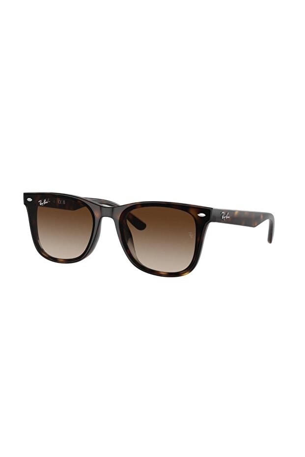 RAYBAN RB4420 71013 65 UNISEX GÜNEŞ GÖZLÜĞÜ - 1