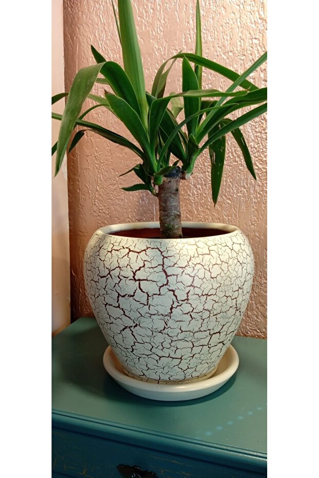 Toprak vazo saksı - 4