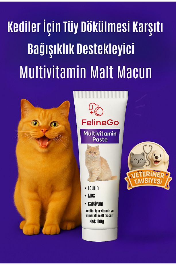 Kedi Multivitamin Macunu 100gr - Kedi Multivitamini - 1