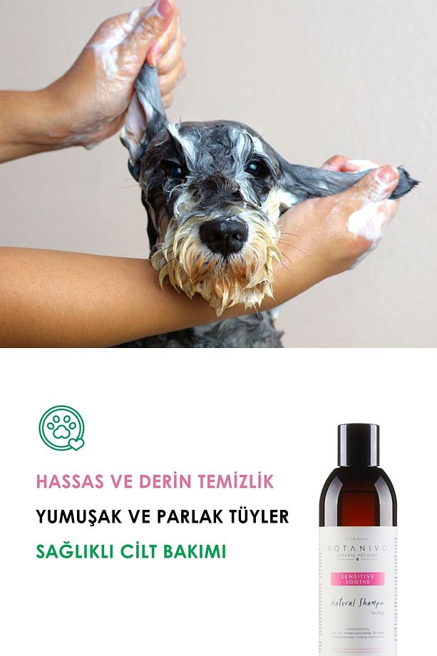 Köpekler Için Hassas Şampuan 2’li Set | Yumuşak & Parlak Tüyler | Organik Içerikli | 2x250 ml - 3