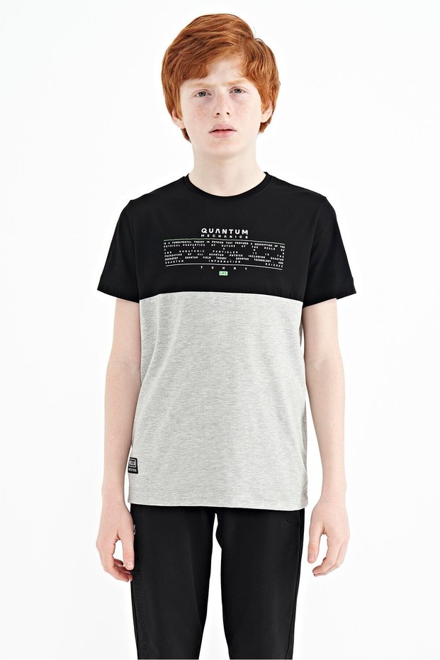 Gray Melange Text Printed Color Block Standard Fit O Neck Boys T-Shirt - 11134