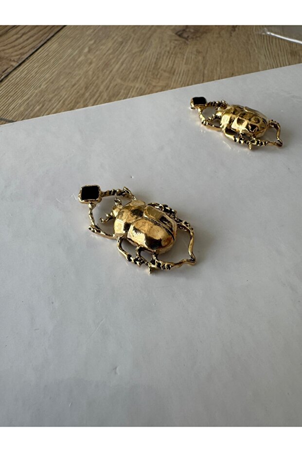 أقراط حشرة الحظ - 3