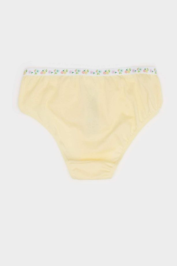 Kız Çocuk Desenli 3'lü Slip Külot E7074a825sp - 3