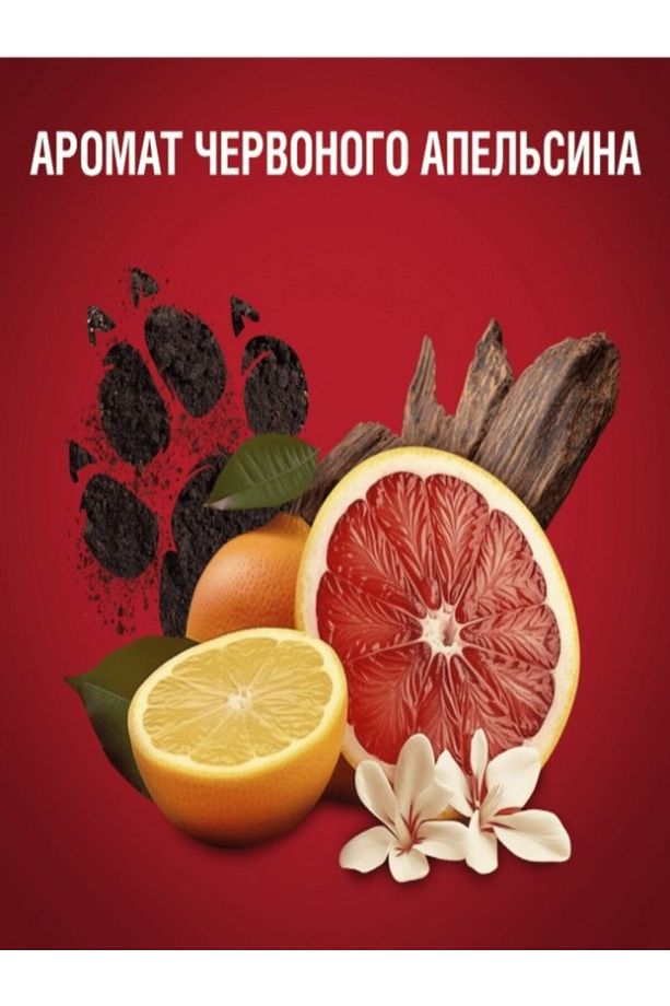 Tıgerclaw Erkek stick deodorant 50 ml - 3