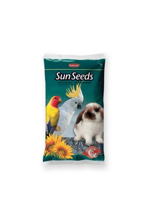 Sunflower Seeds Medium - 500g