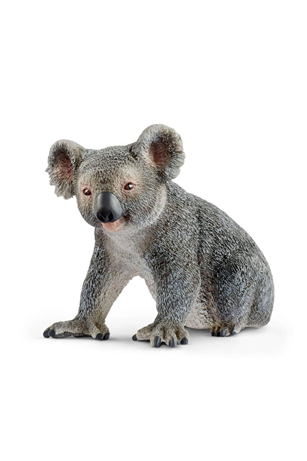 Koala 17096 - 1