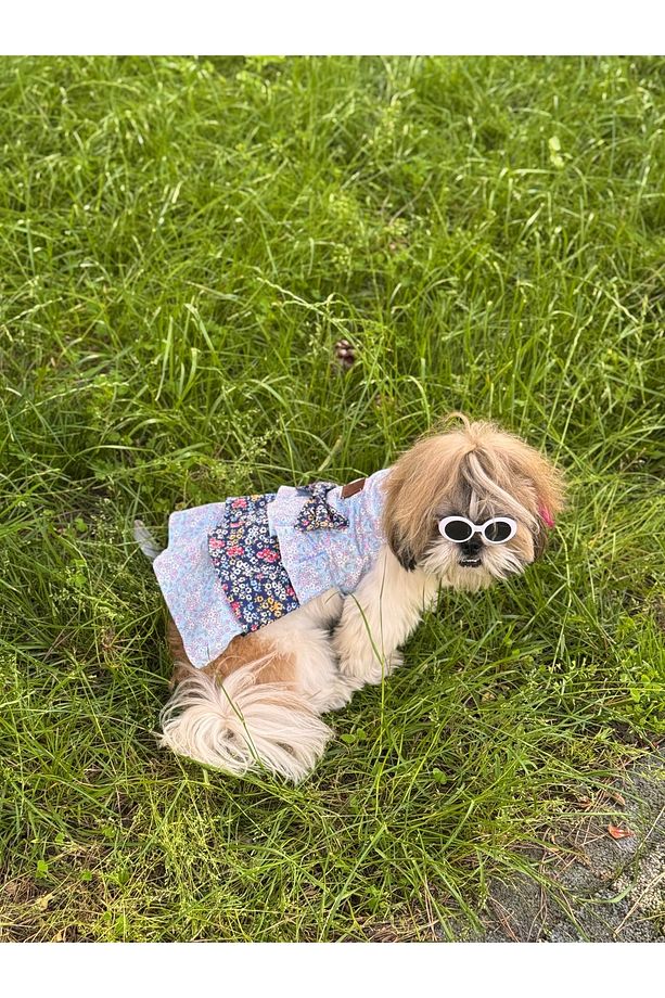 Köpek Elbisesi Kedi Elbisesi Kıyafeti Mavi Lacivert Çiçekli Poplin Kumaş - 3