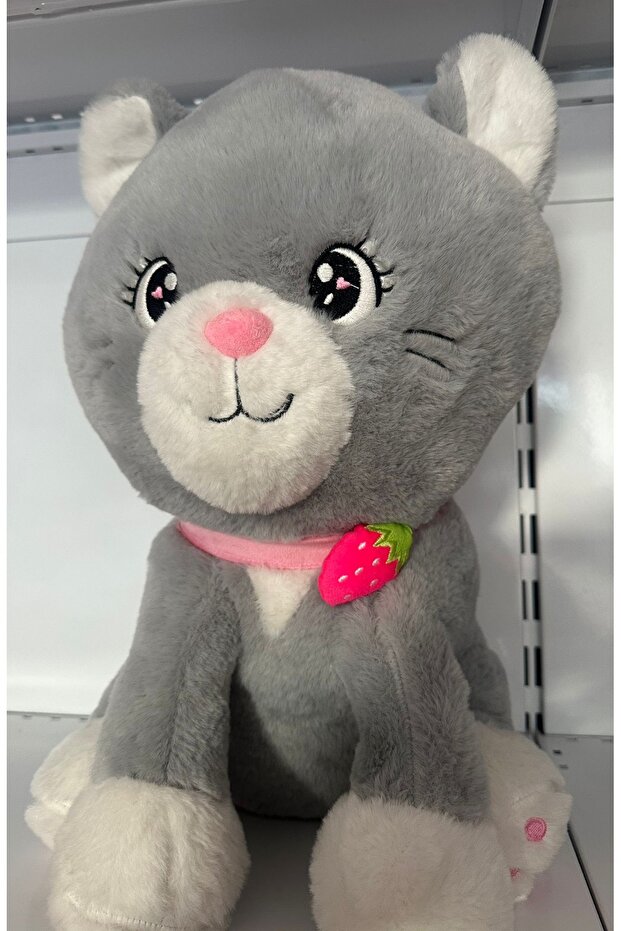 قطة لطيفة - 1