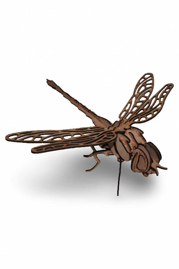 28 Parça Ahşap Yusufçuk Maketi - Ahşap Yusufçuk Figürü - 3D Dragonfly Ahşap Figür - 6