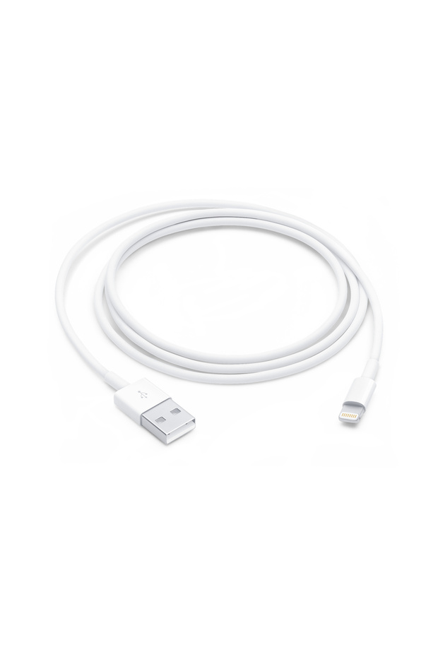 USB to Lightning 1 Meter USB Cable