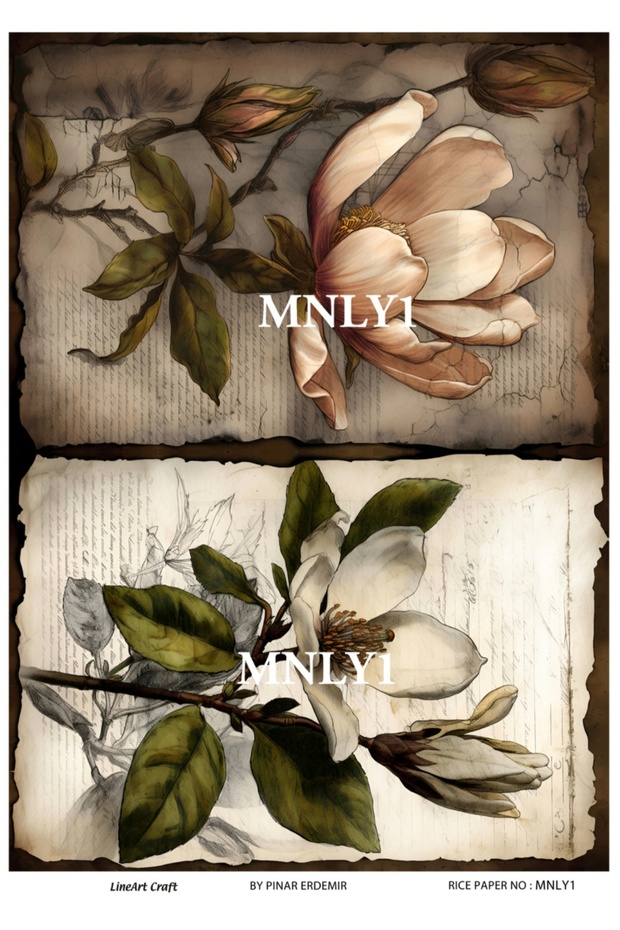 ديكوباج النحاس MNLY1