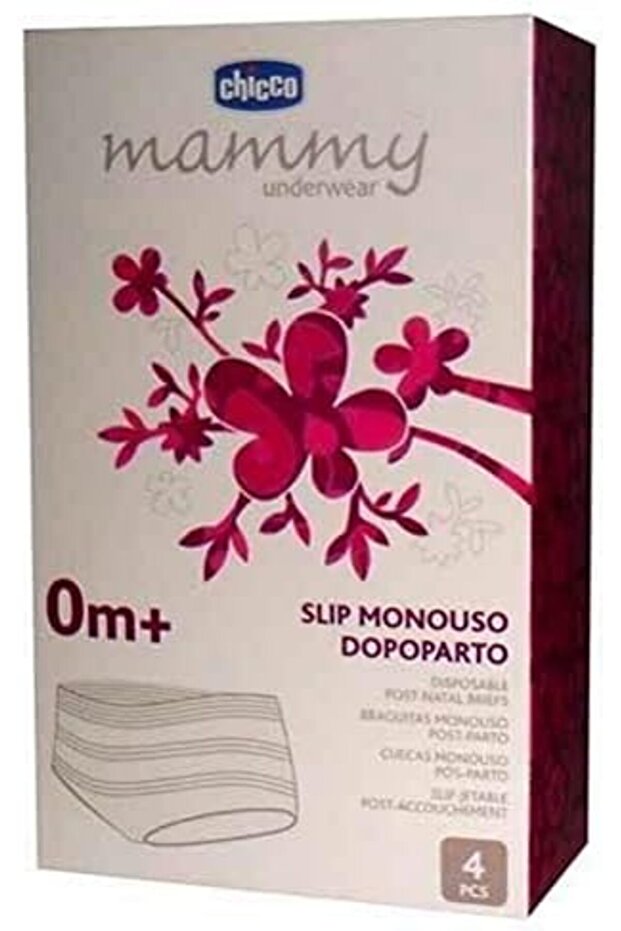 Disposable Post-Natal Briefs - 2