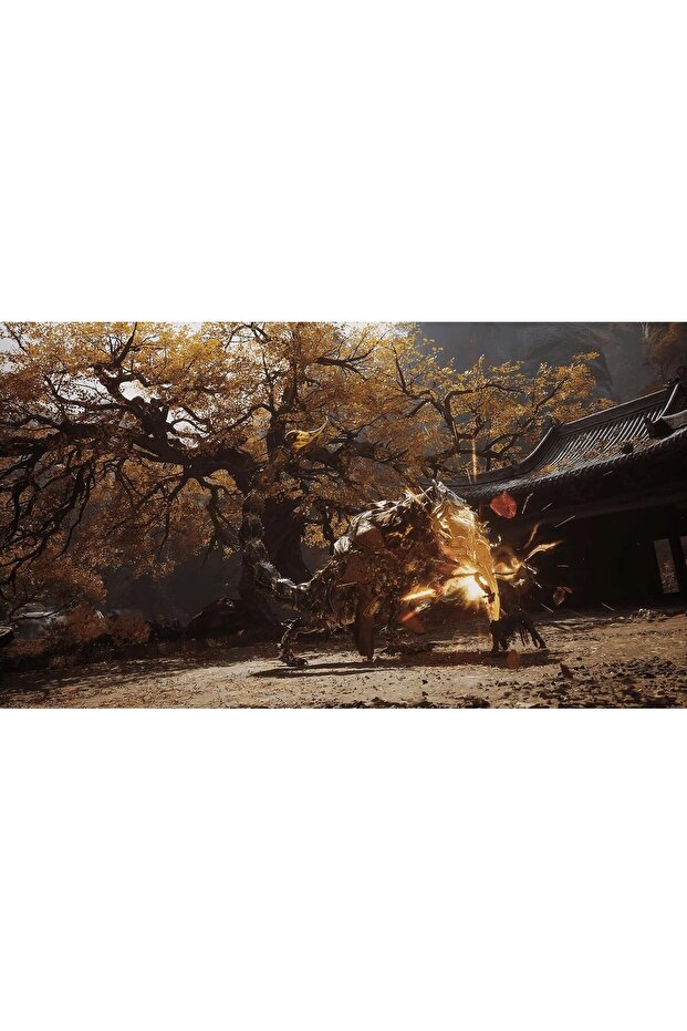 PS5 Black Myth: Wukong PEGI - 7