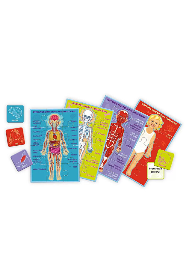 JOC CORPUL MEU MICUL EXPLORATOR - 2