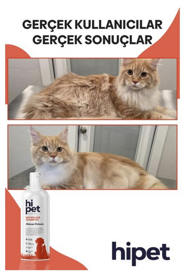 Kedi Kuru Şampuan - 4