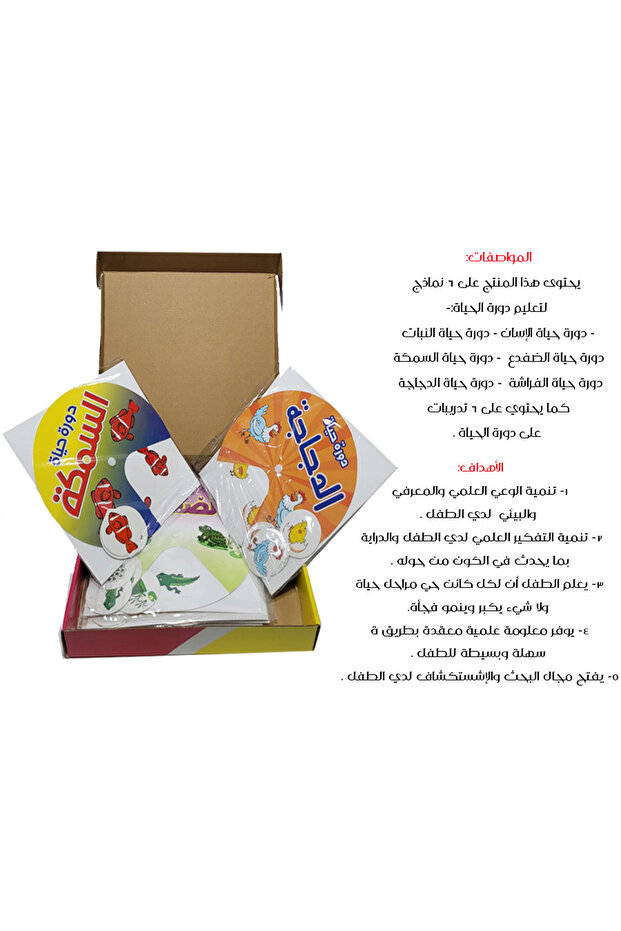 Life cycle education - 3