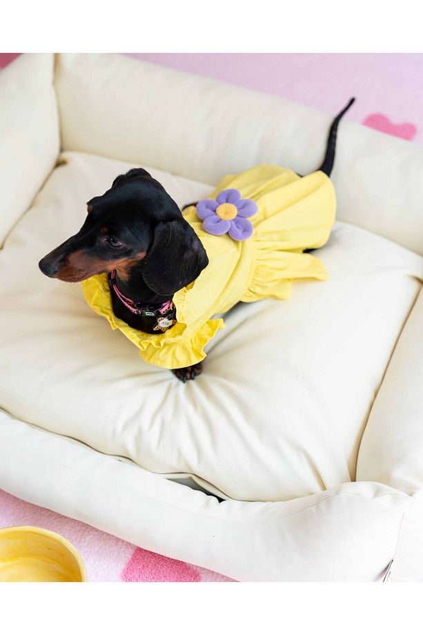 Köpek Elbise - Köpek Kıyafeti (Çiçekli elbise) - 3