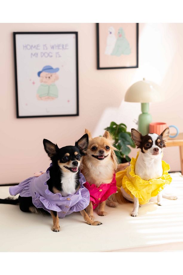 Köpek Elbise - Köpek Kıyafeti (Çiçekli elbise) - 5