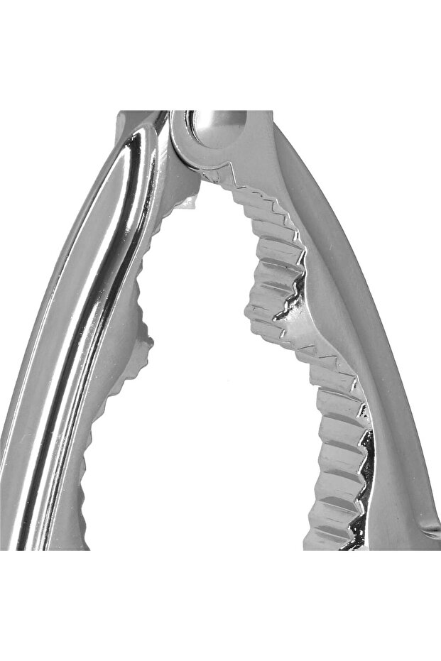 Springos nutcracker, 15.5 x 4.5 cm, green / silver - 6