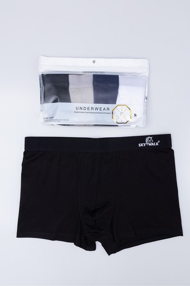 BOXER - 4