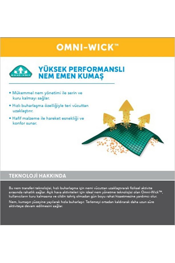 Silver Ridge Utility Erkek Kargo Şort - 2