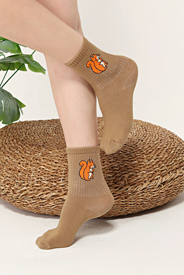 السنجاب منقوشة الجوارب الملونة الملونة - 4