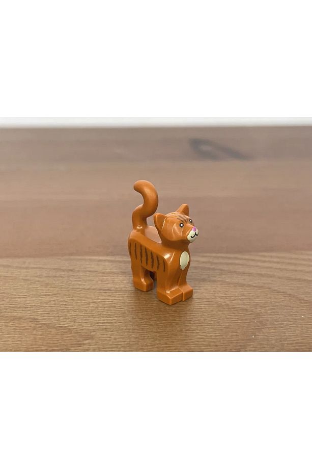 Orjinal Kedi -cat - 2