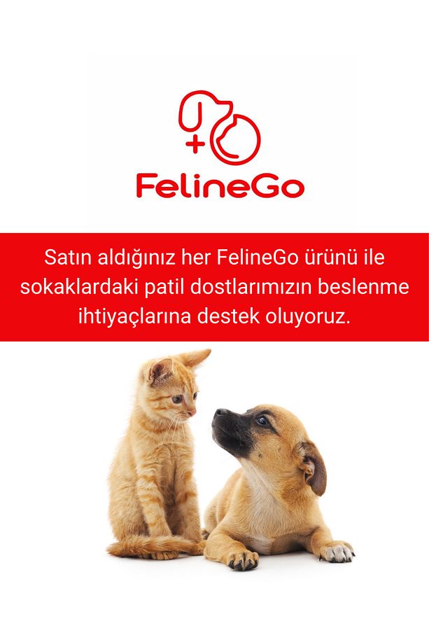 Kedi Multivitamin Macunu 100gr - Kedi Multivitamini - 5