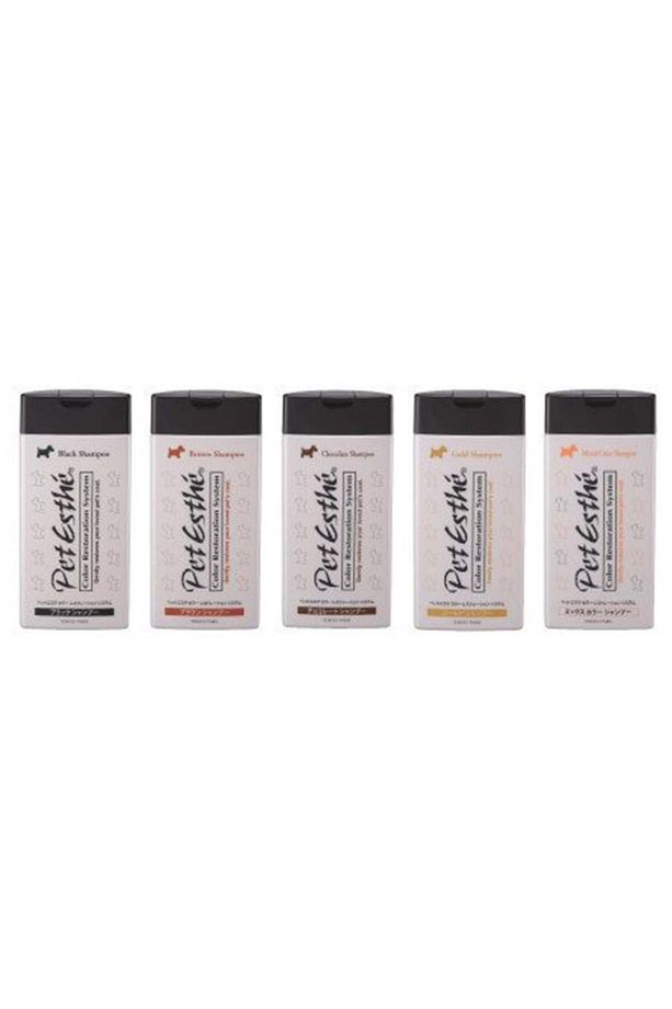 Pet Esthé Color Restoration System Gold Renk Onarımı Sistemi Köpek Şampuanı 400 ml - 2