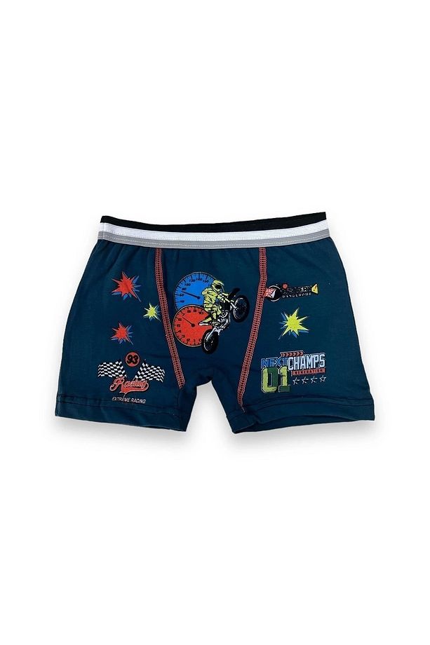Karışık Renkler Erkek Çocuk Boxer 5'li - 4